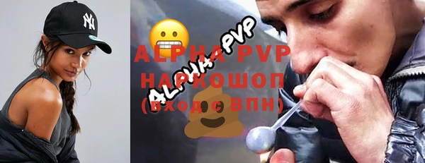 сатива Арсеньев