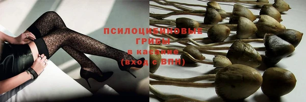 синтетический гашиш Алексин