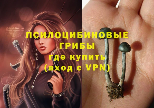 PSILOCYBIN Аркадак