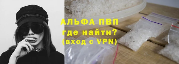 PSILOCYBIN Аркадак