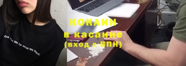 PSILOCYBIN Аркадак