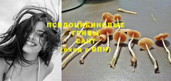 экстази Алексеевка