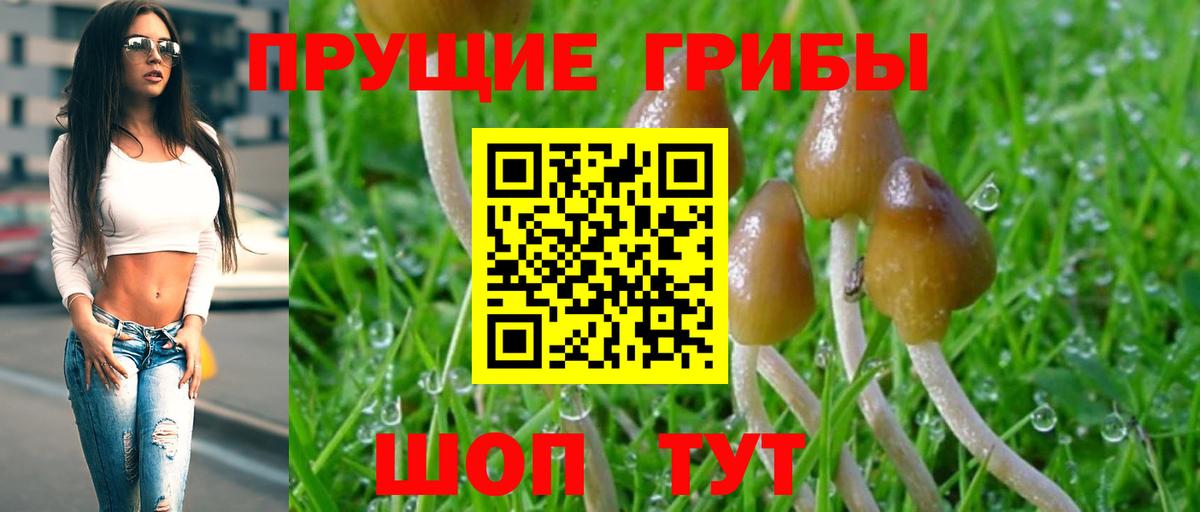 Галлюциногенные грибы GOLDEN TEACHER Белорецк